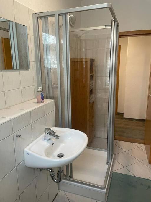 Ferienwohnung 3S Real Estate Φράιμπεργκ Εξωτερικό φωτογραφία